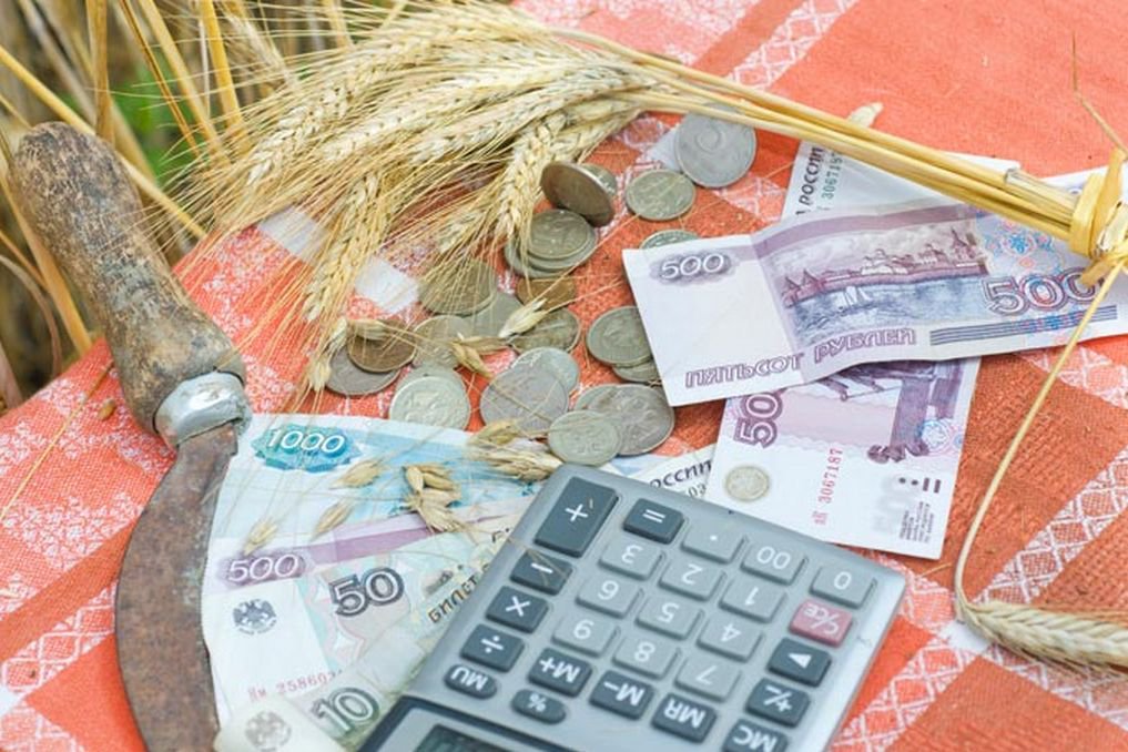 Чувашии на уплату процентов по инвестиционным кредитам выделяется 494 млн. рублей.