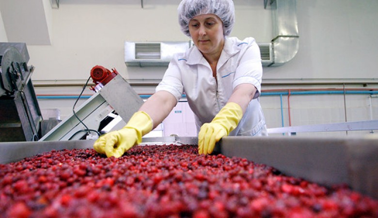Альфа-групп решила продать карельского переработчика ягод