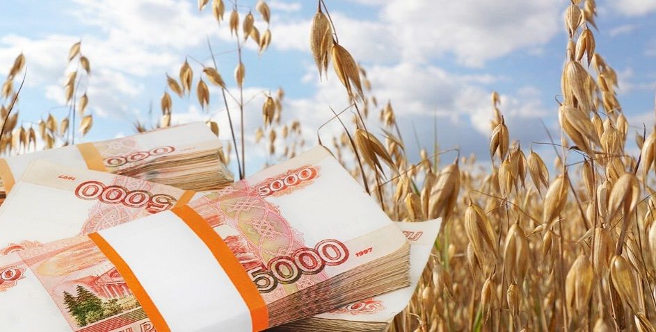 Гос поддержка