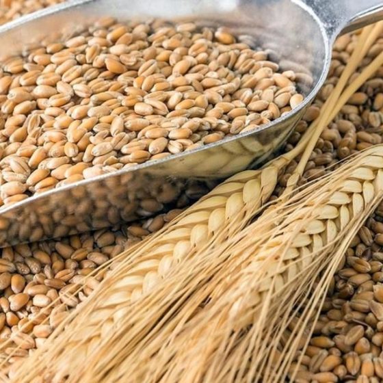 Кубань планирует в 2020 году экспортировать сельхозпродукции на $2,5 млрд