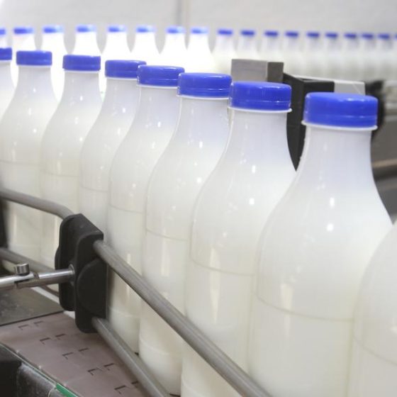 Экспорт молочной продукции вырос на 26%