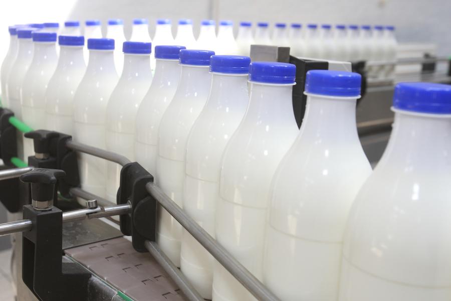 Экспорт молочной продукции вырос на 26%