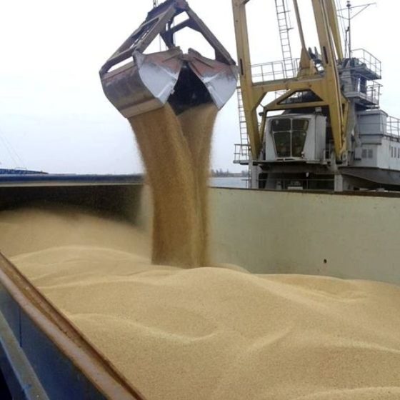 Фрахтовый отчет Волго-Донской бассейн, Азовское море, Черное море, Каспийское море, 29 неделя 2020 года